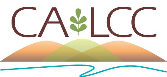 Ca lcc logo