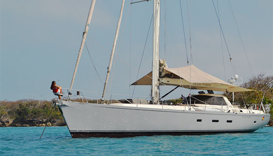 Ocean Phoenix external view
