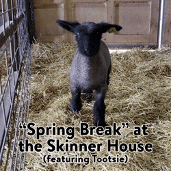 Spring Break at the Skinner House
