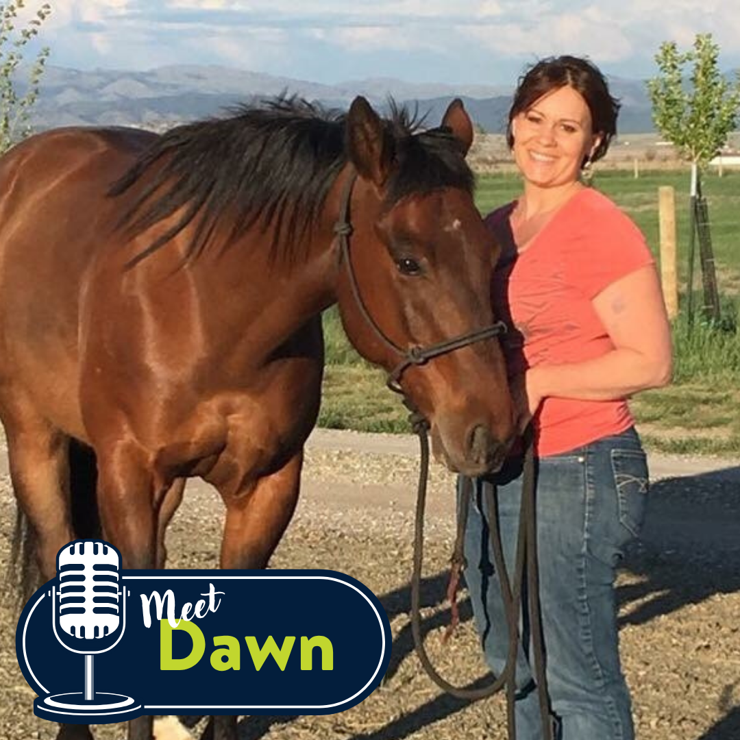 Meet Dawn