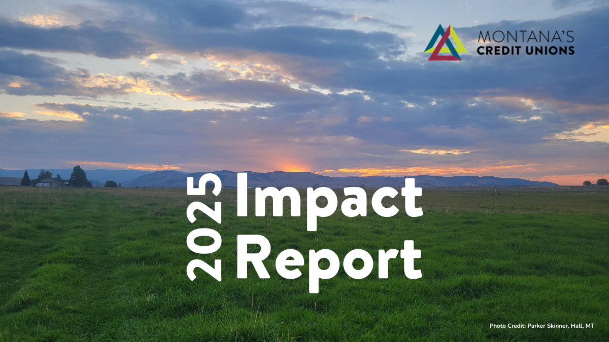 2025 Impact Report cover