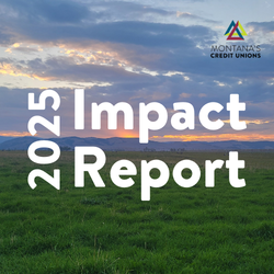 2025 Impact Report thumbnail