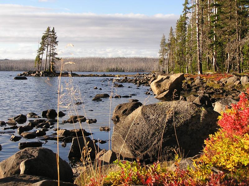Waldo Lake by Dirk Wittig