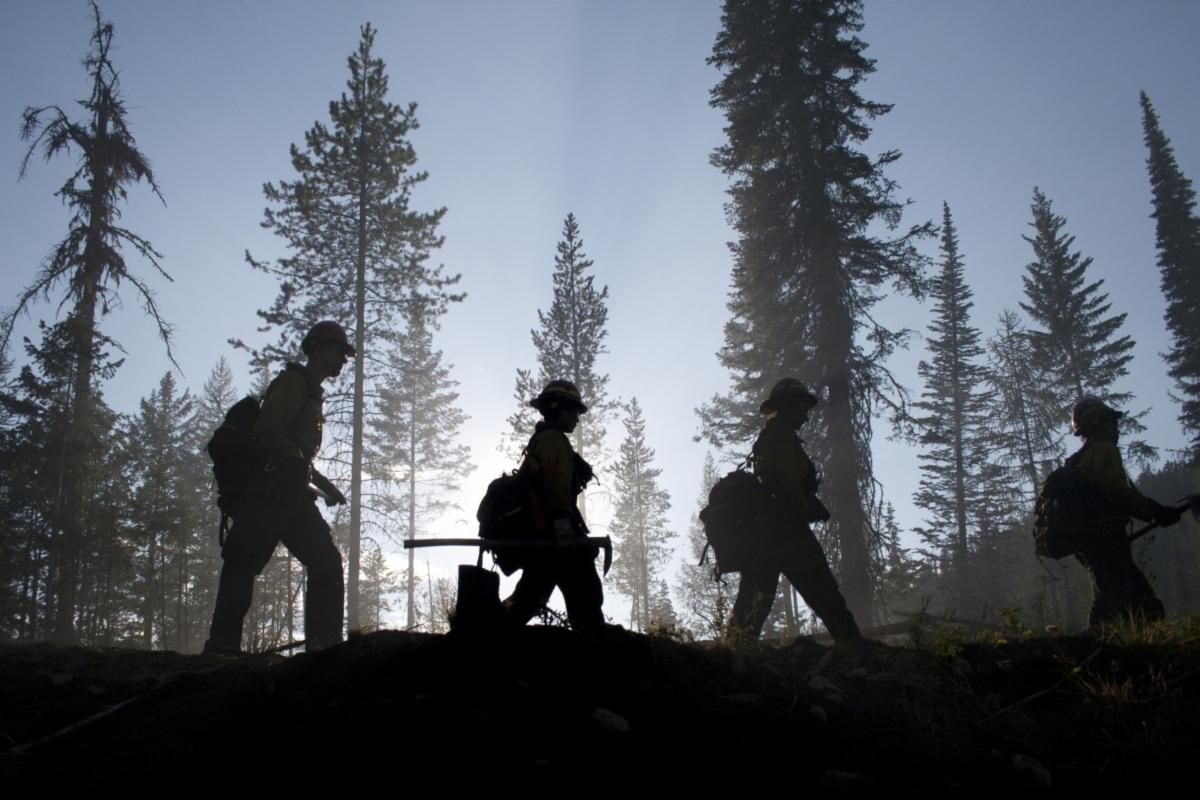4 firefighters walking through the woods