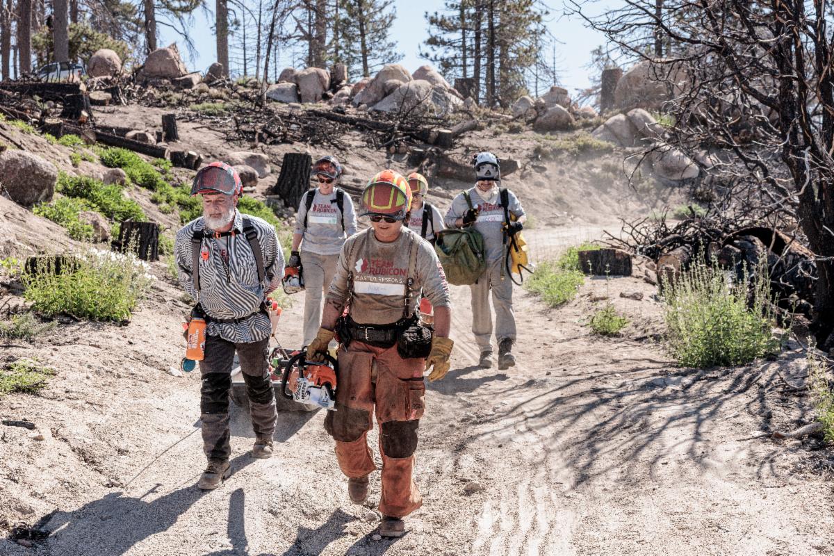 5 people walking on a woodland trail carrying chainsaws and forestry management equipment.