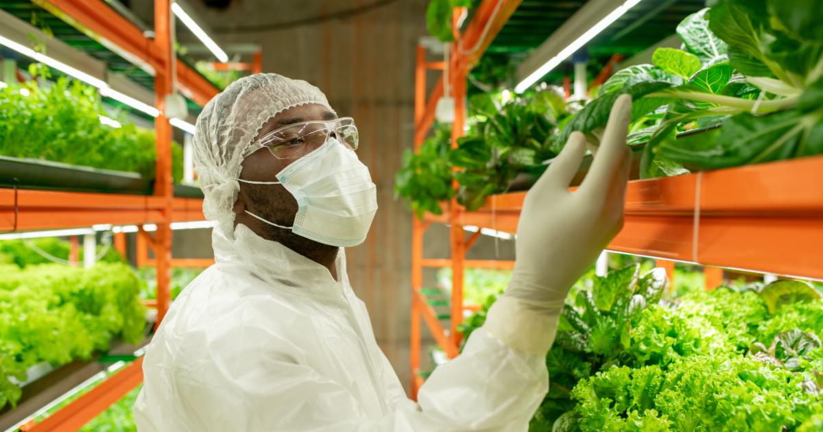 Ontario's Food Safety and Growth Initiative funding overview