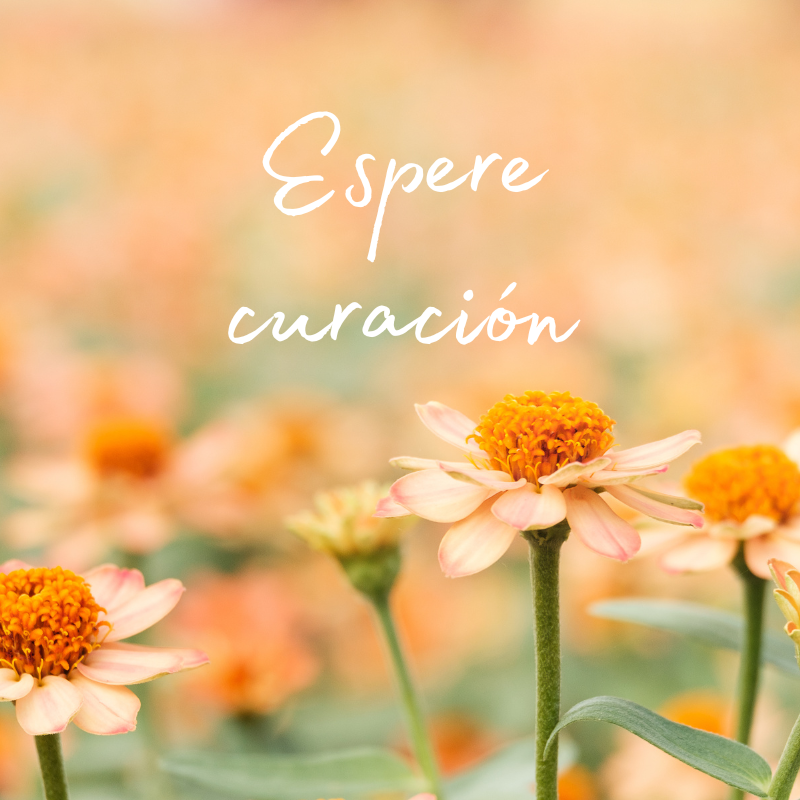 flores naranjas detrás de las palabras: Espere curación