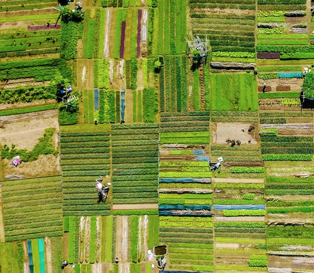 Aerial view of farmland