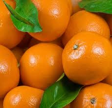 Citrus Fruit