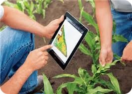 Farming