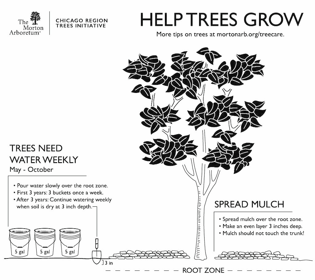 Help Trees Grow