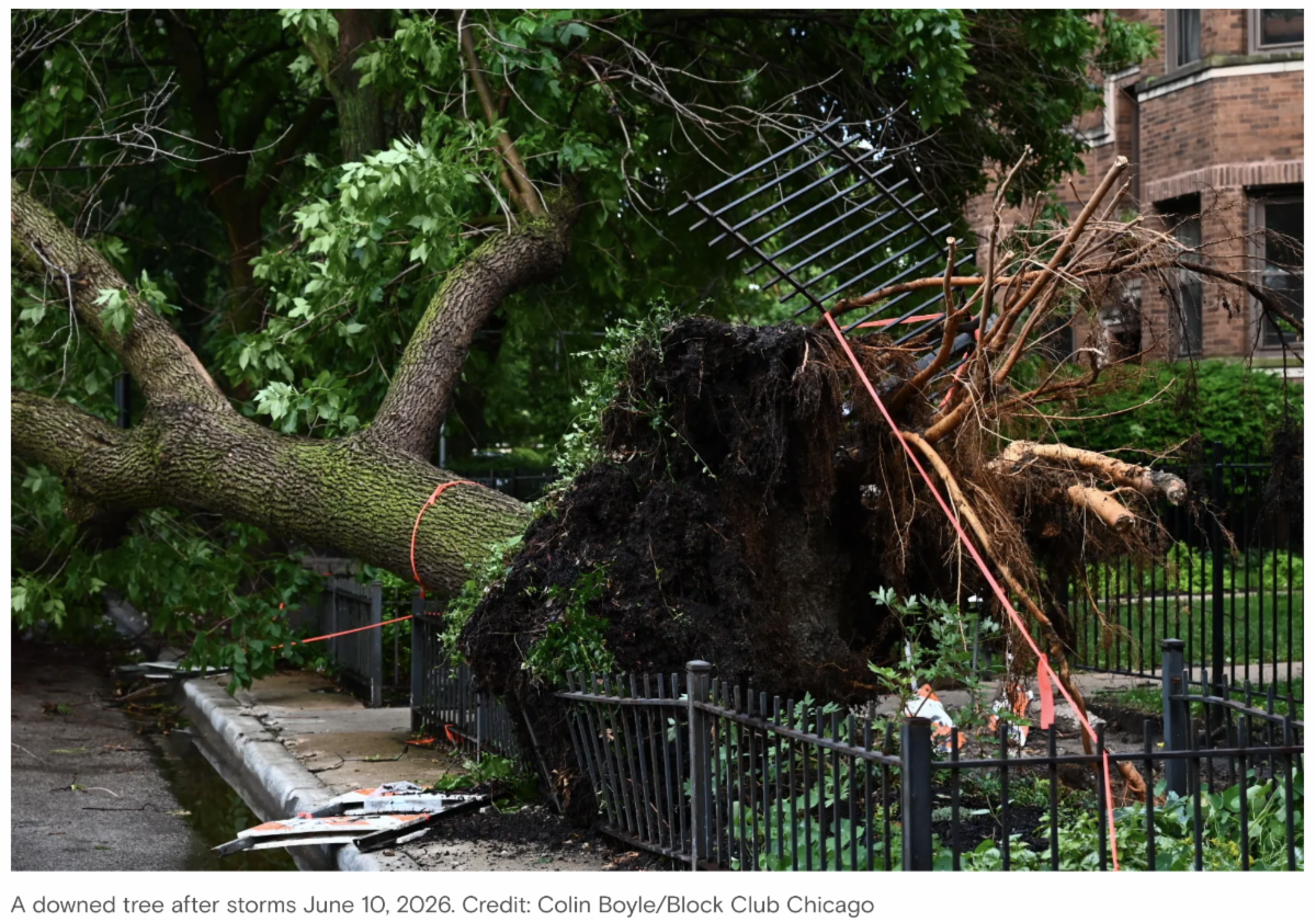 Storm Damage-June 2026