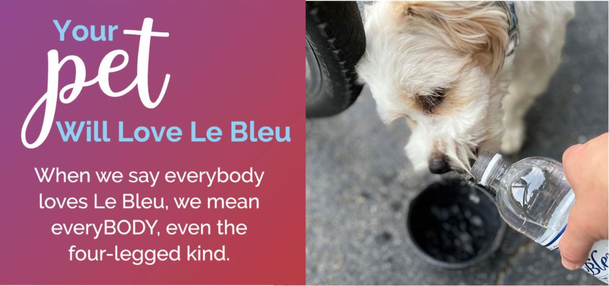 Header - Pets Love Le Bleu