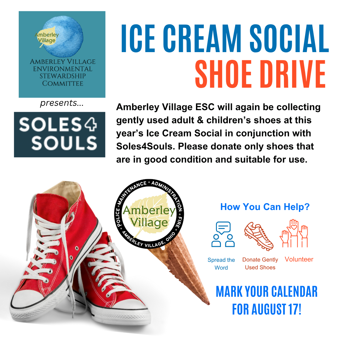 2025 Ice Cream Social Shoe Drive