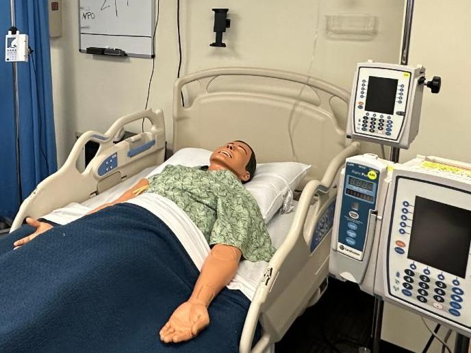 Bushnell nursing program