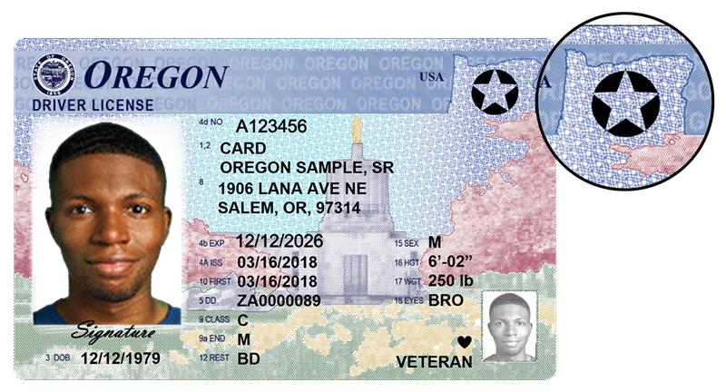 DMV driver license