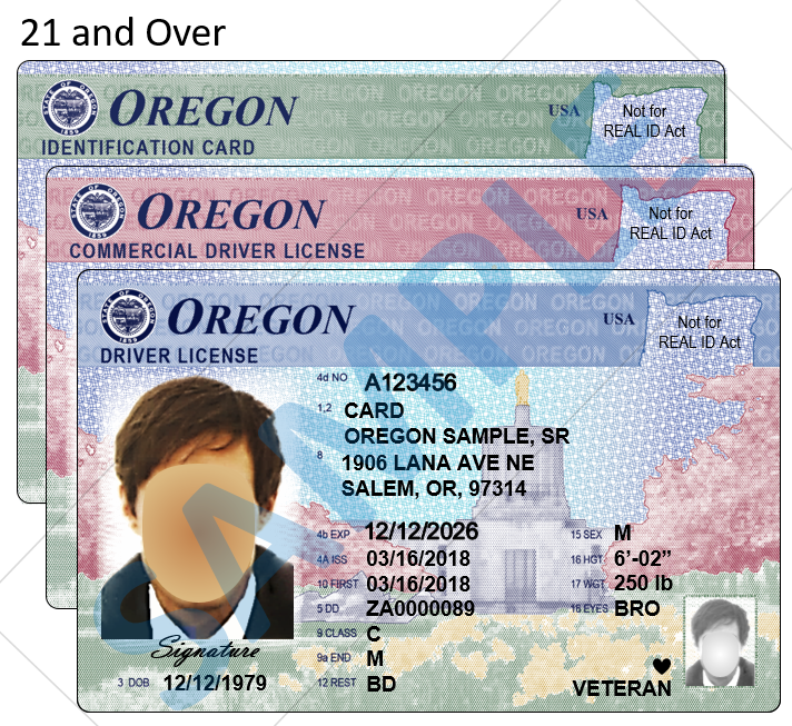 DMV driver license-not real ID