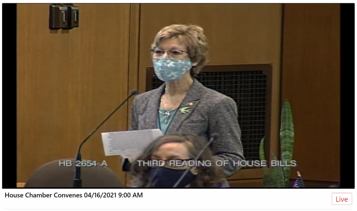 NN speaking in House