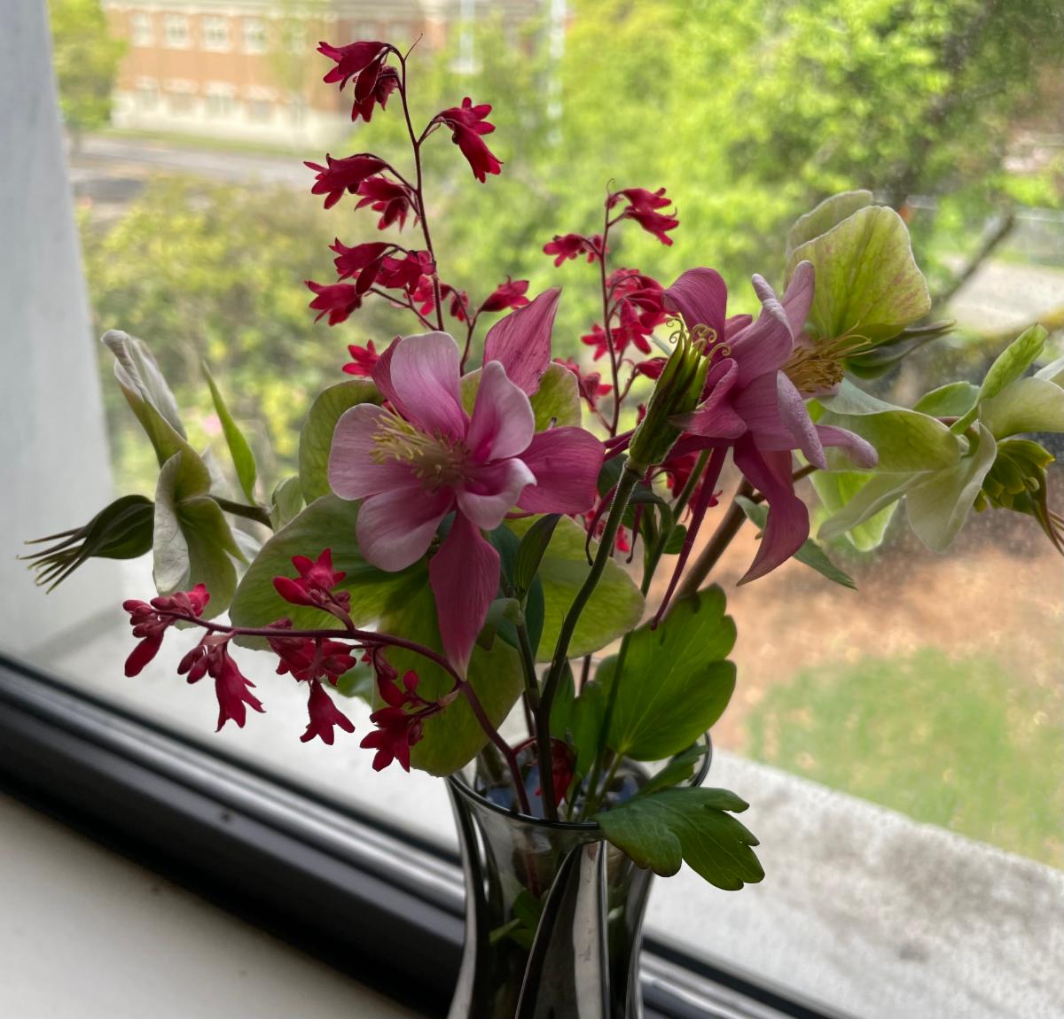 bringing my garden to the office