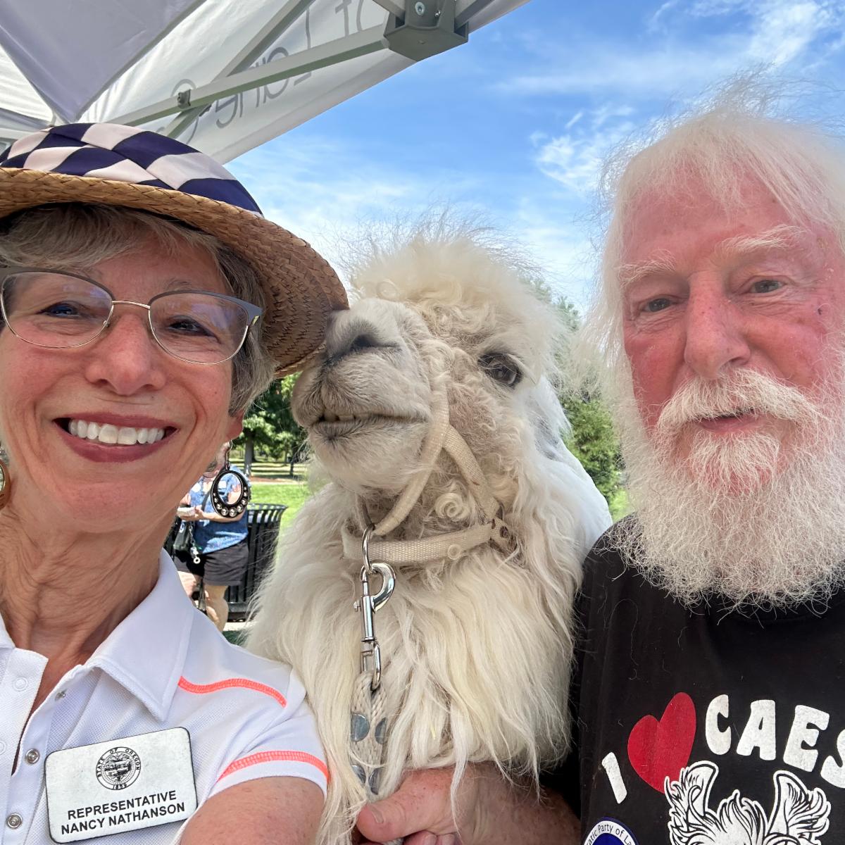DPLC-Caesar the llama