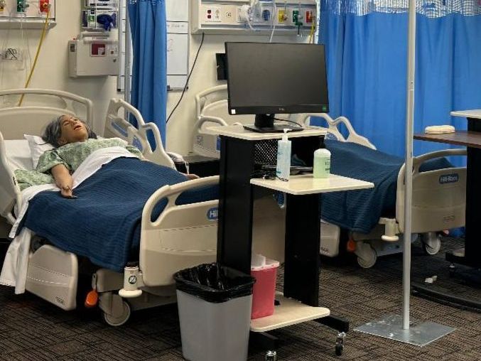 Bushnell nursing program