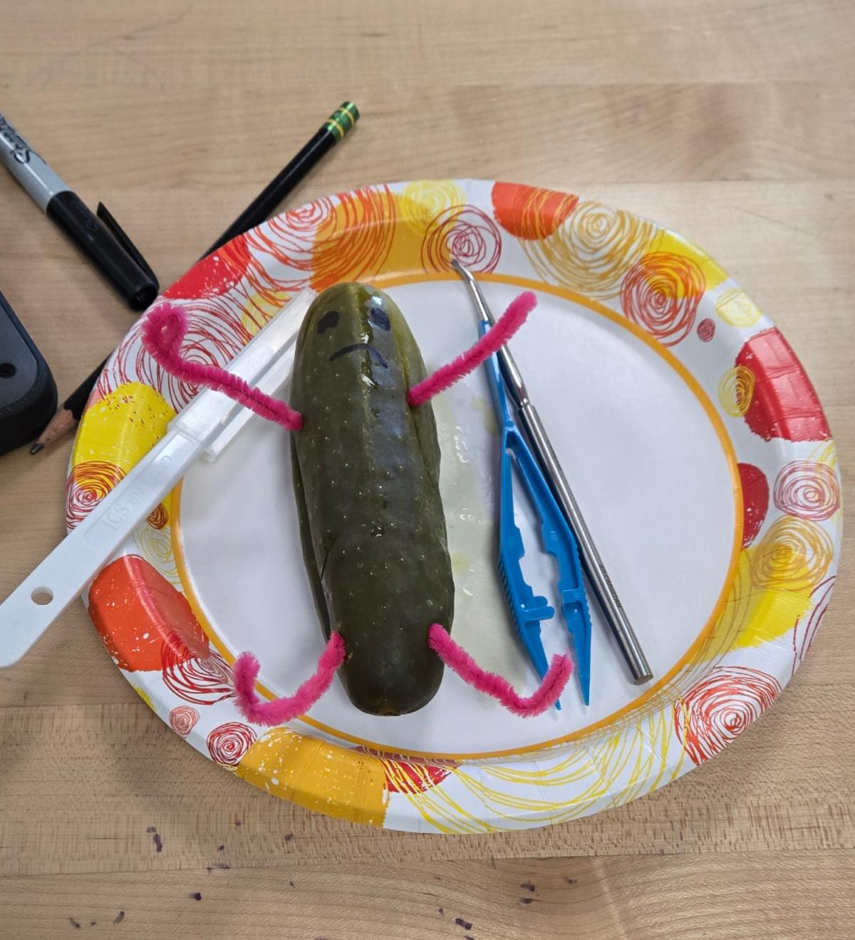 pickle autopsy