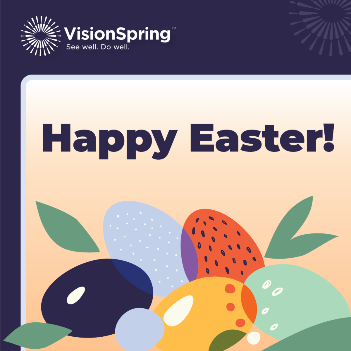 VisionSpring InFocus 3.27.24