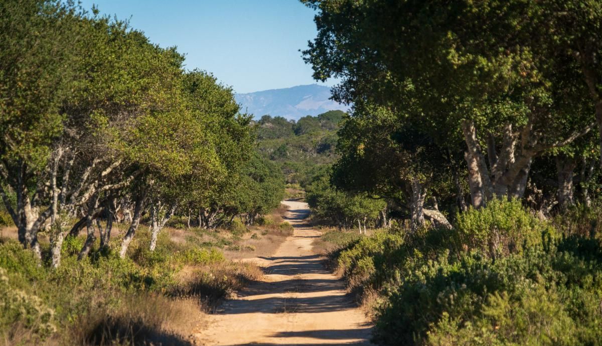Federal health agency confirms Fort Ord drinking water is safe. 