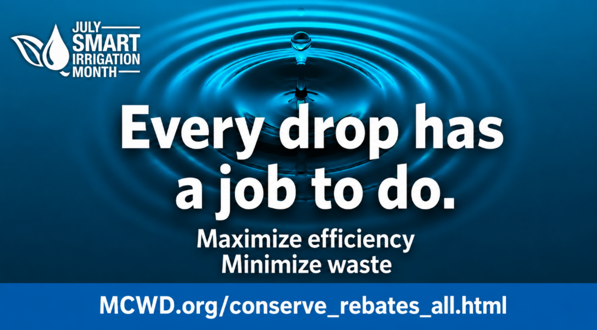 Every Drop Has a Job To Do