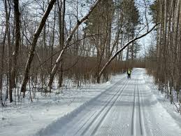 a Trail in the woods during Winter, lots of snow