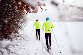2 People Skiing on a trail near woods