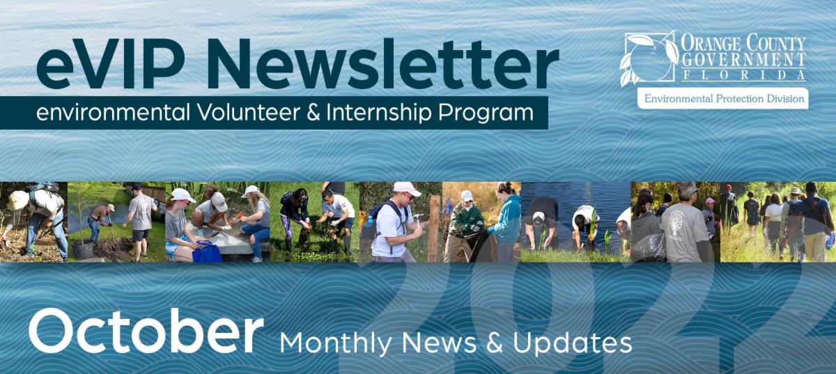 October Volunteer Bulletin