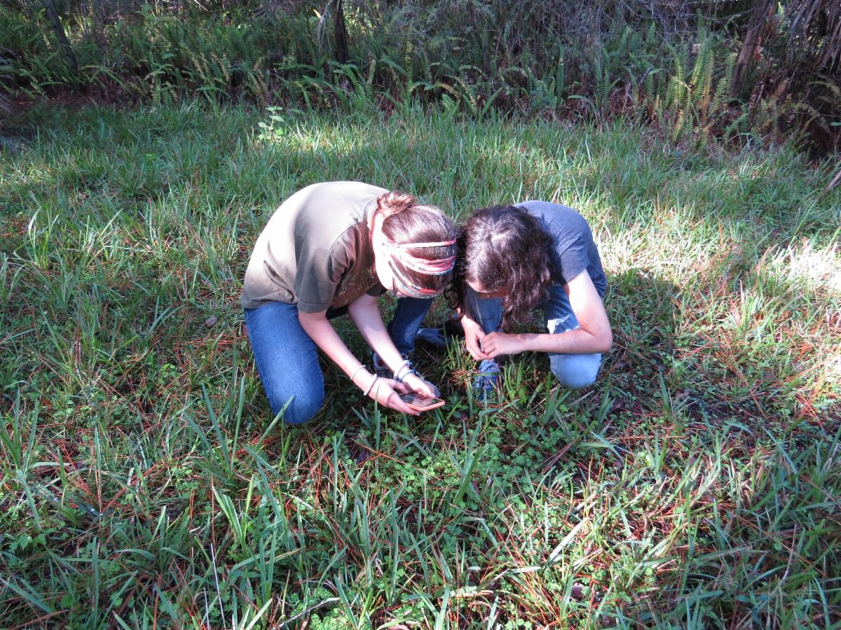 Girls identifying natural specimen with phone app