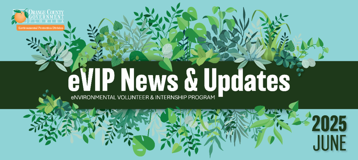 eVIP News June Header