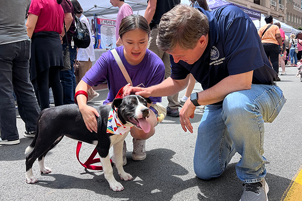 Walter at the 2025 Reston Town Center Petpalooza