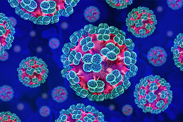 Hantavirus photo