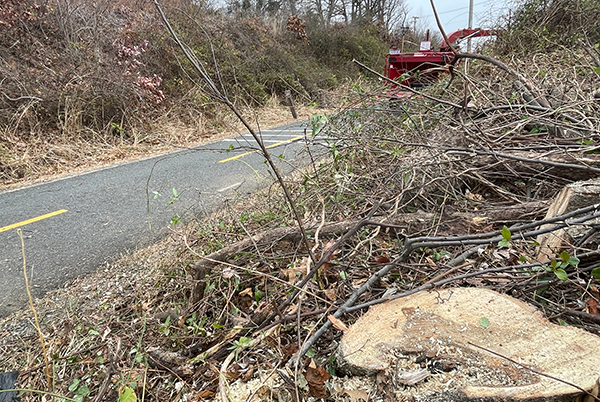 Tree trimming along the W&OD Trail in Reston