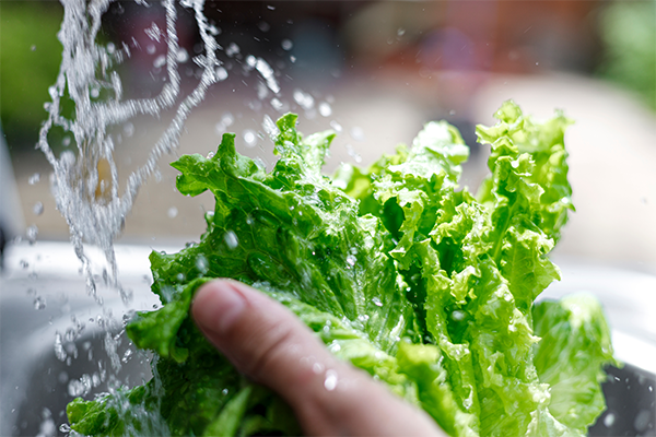 Person washing lettuce