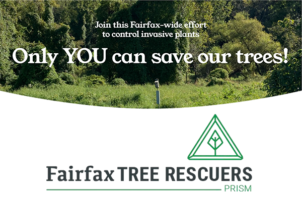 Fairfax Tree Rescuers PRISM logo