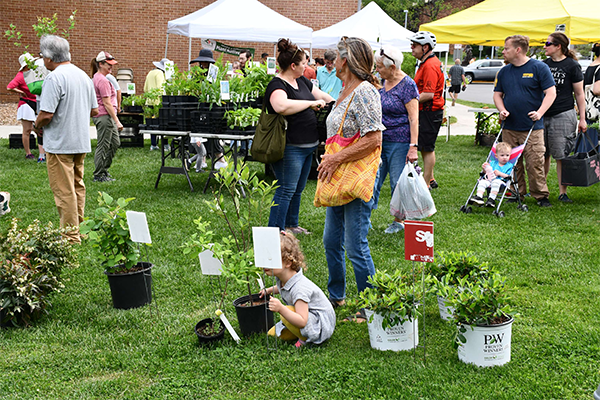 Vienna native plant sale