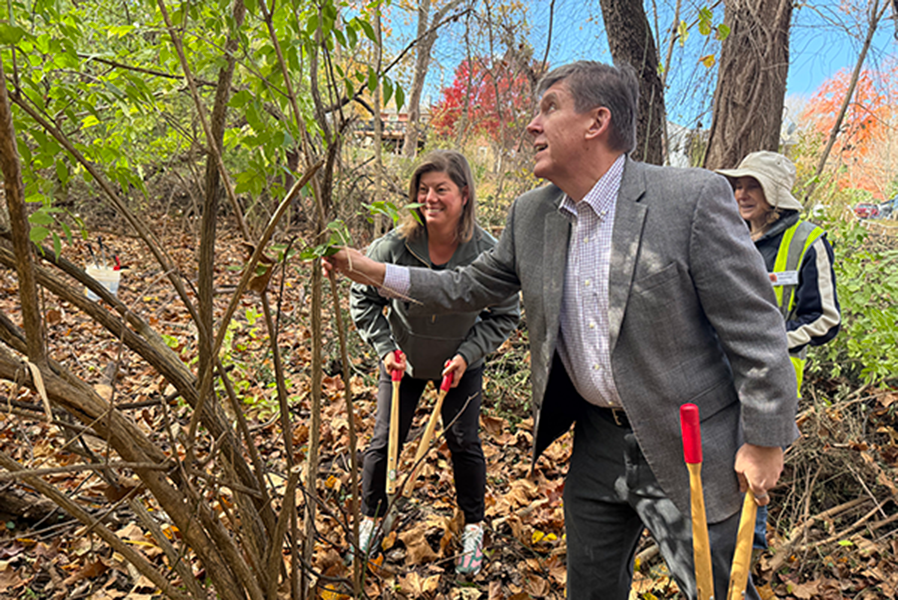 A photo of Fairfax County Supervisor Walter Alcorn cutting an invasive bush