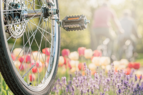 A bicycle in front of a flower garden