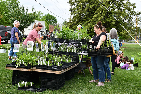 Vienna Spring Native Plant sale