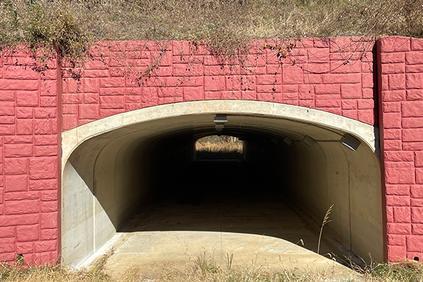 Photo of the Colvin Run Mill tunnel