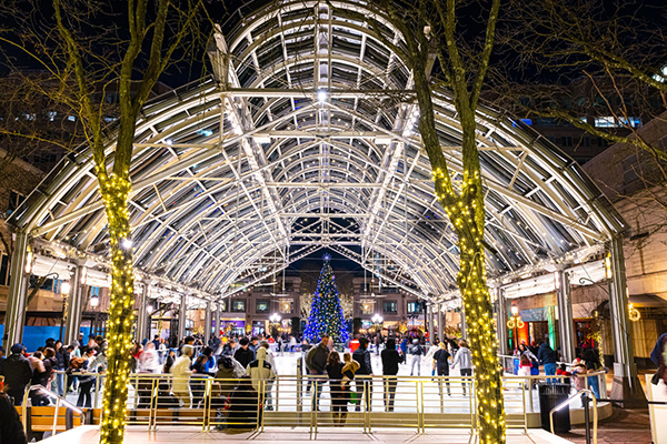 A photo of the Reston Town Center Ice Skating Paviliion