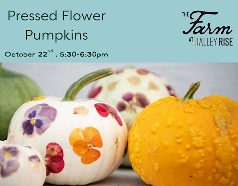 Pressed flower pumpkins class at The Farm at Halley Rise