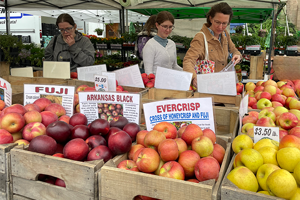 A photo of shoppers buying apples at the Reston Farmers Market