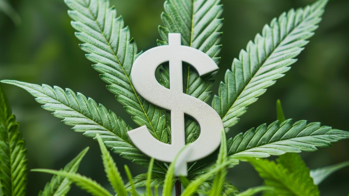 Marijuana leave with dollar symbol