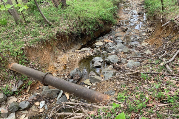 Exposed sewer line in the Piney Run Tributary.