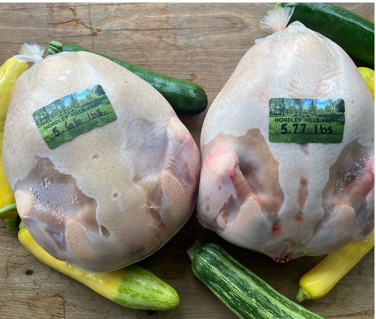 Hoadley Hills Farm chickens